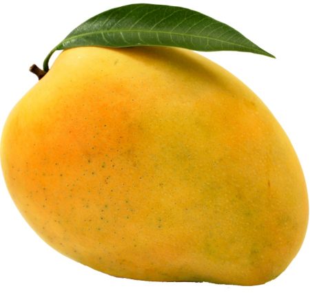 KESAR MANGO | rajkot | fruit