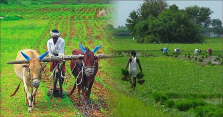 indian farmer | farmer | agree cultural | government