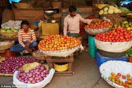 Vegetable | government | national