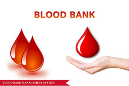 blood bank | gujarat