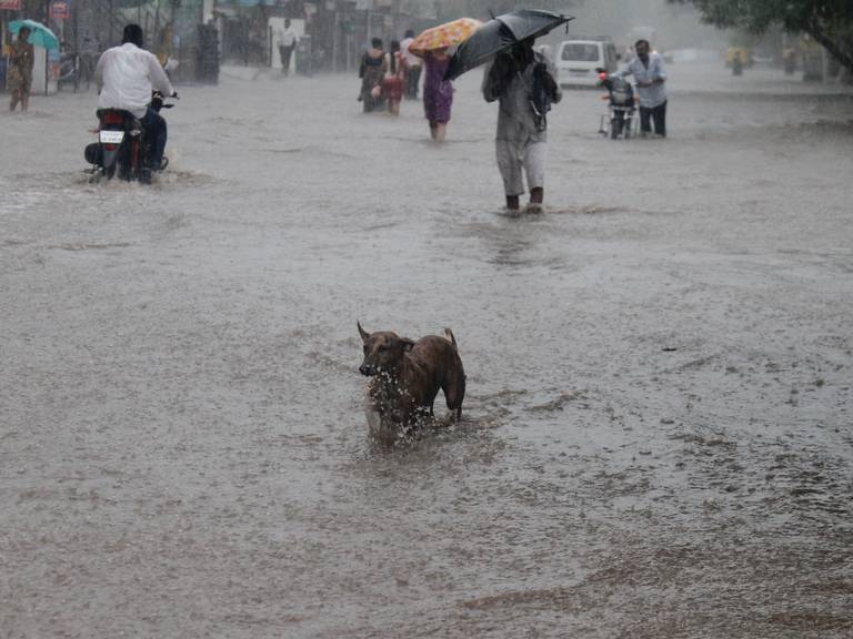 rain | gujarat