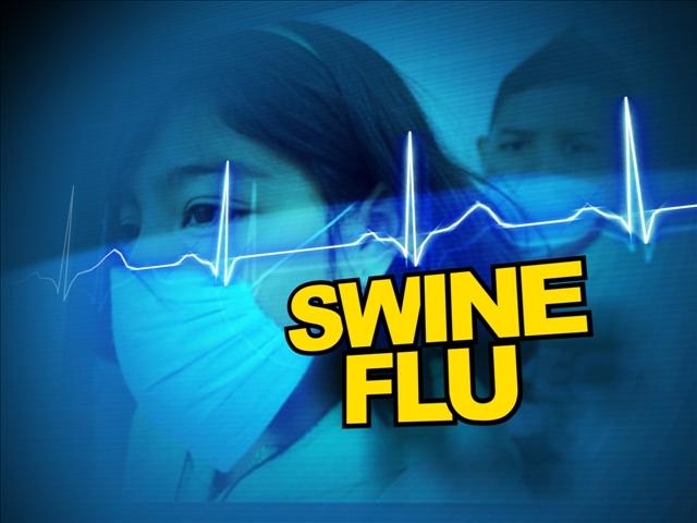 swine-flu | rajkot