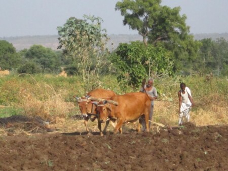 gujrat | jamnagar