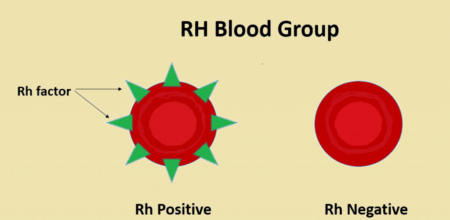 blood group