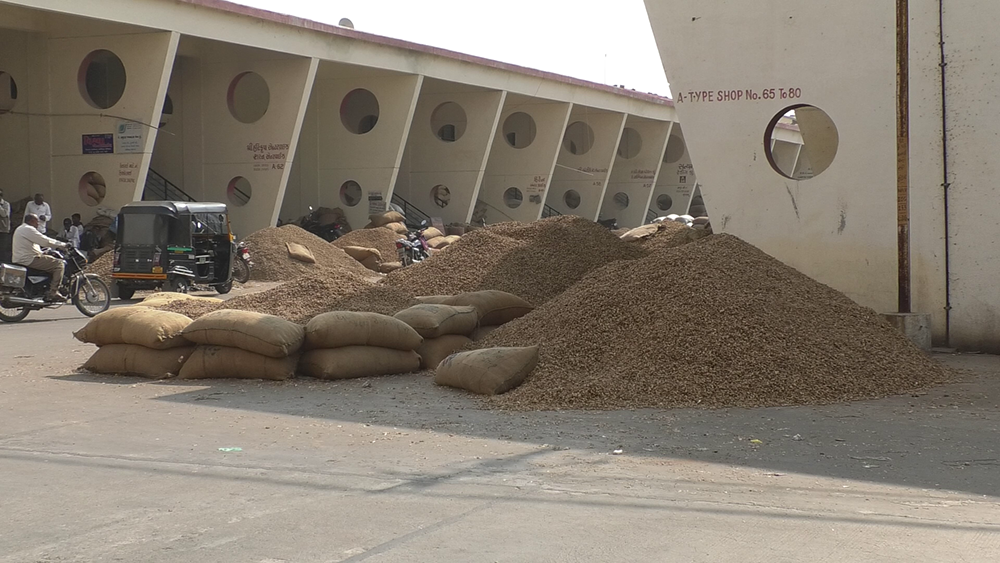 Warehouse, cold storage will be raised to prevent the destruction of farm produce