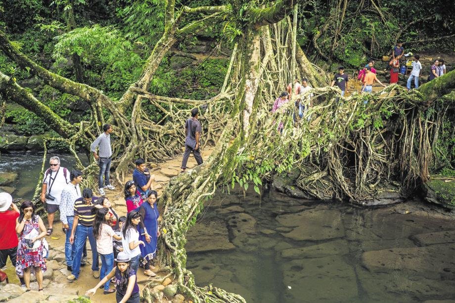 Meghalaya kKf