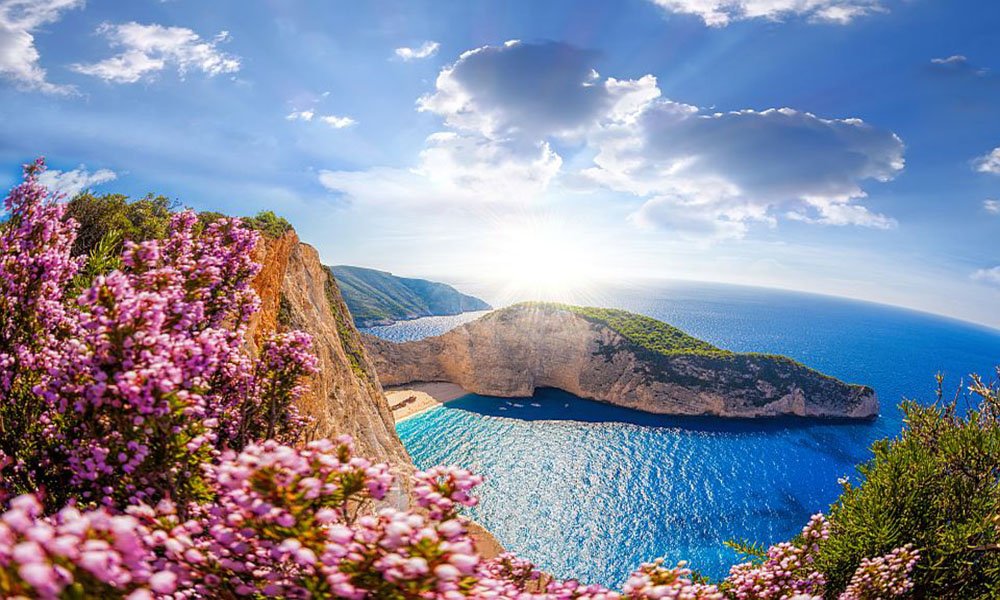 Navagio beach with shipwreck and flowers against sunset Zakynthos island Greece