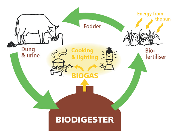 biogas 1