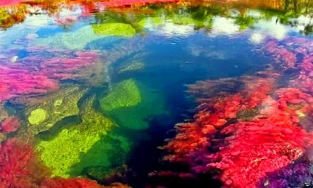 caño cristales river colombia