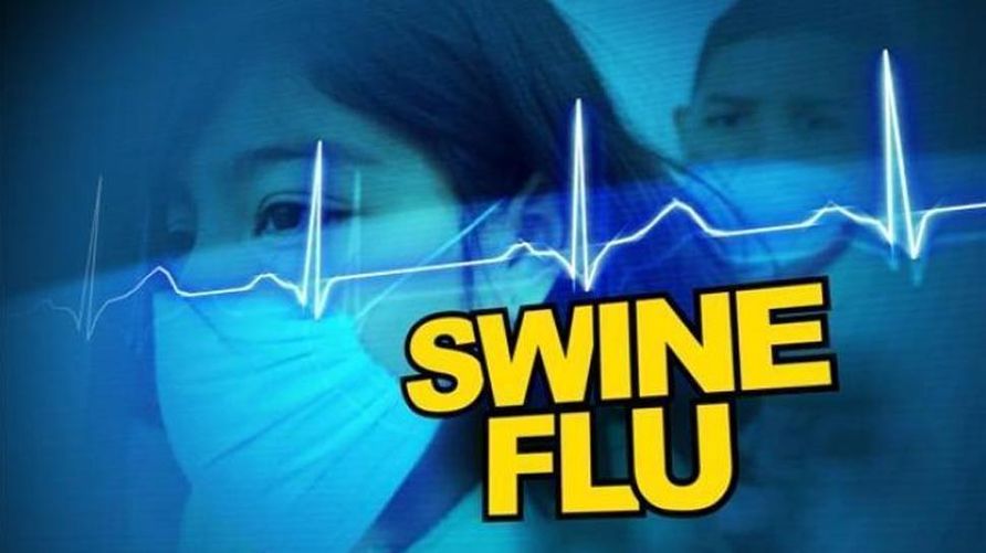 swineflu3 70882 tn