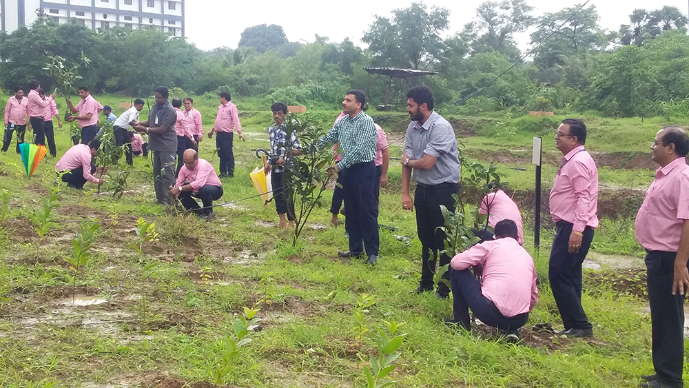 3-saplings-planted-under-the-tree-plantation-project-at-dnh-spinners-company-in-danah