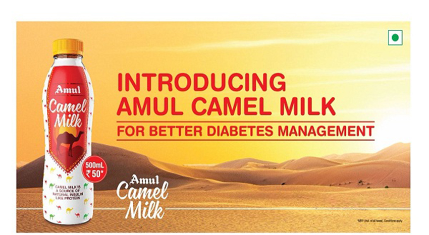 why-'healthy'-camel-milk-is-needed?