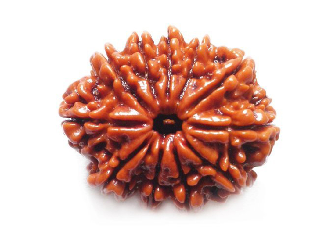 11 mukhi