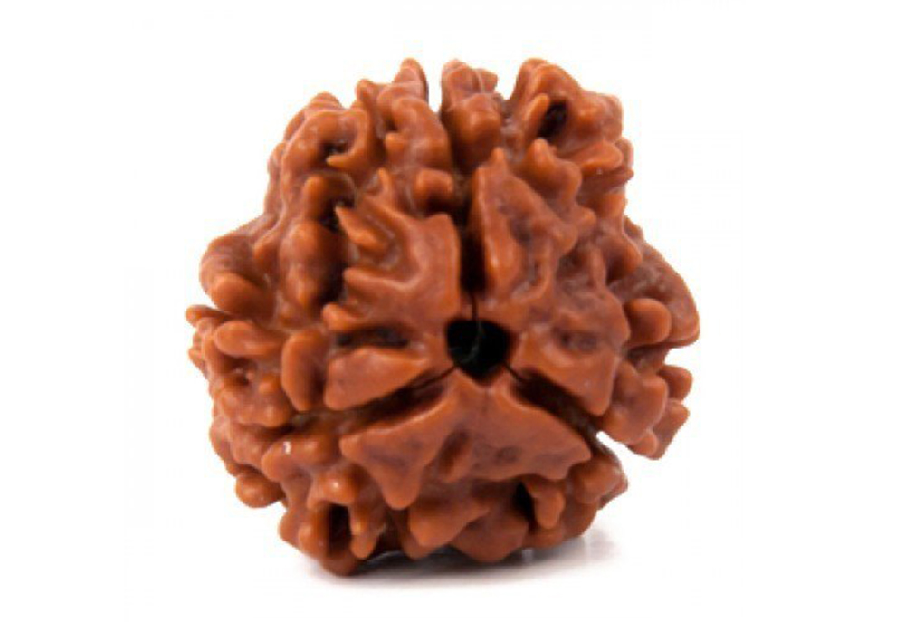 3 mukhi