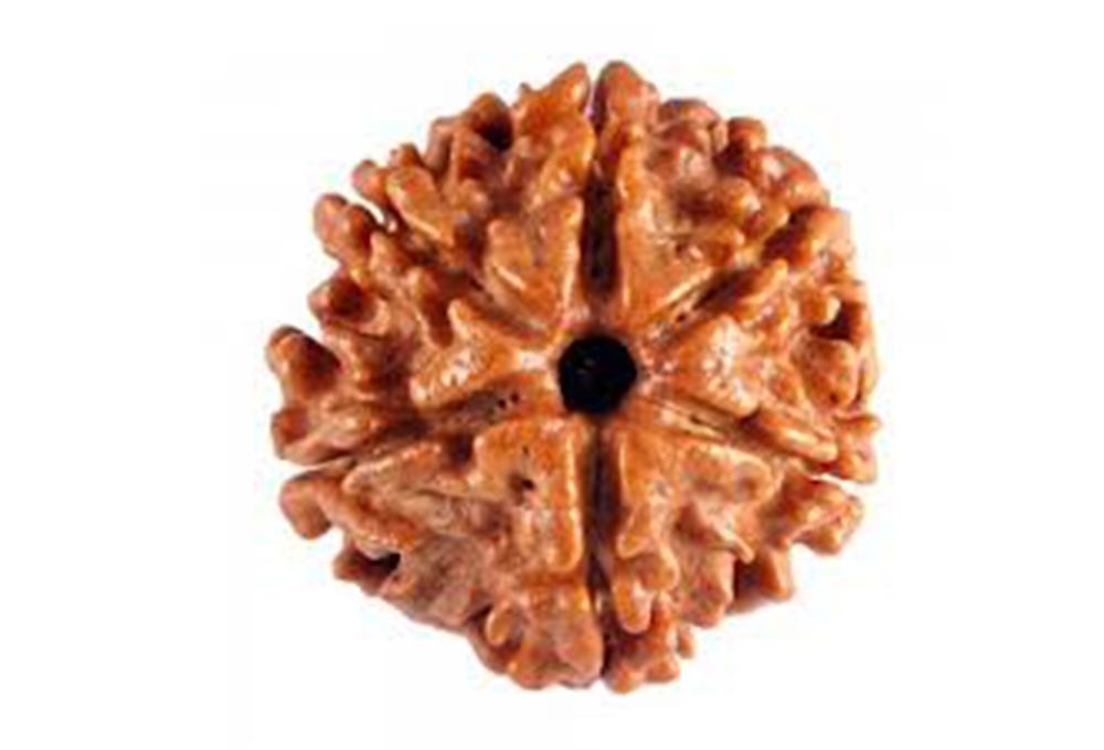 6mukhi