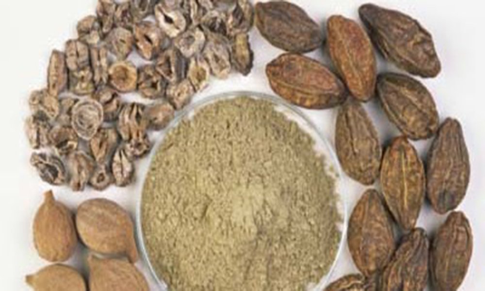 triphala rasayana