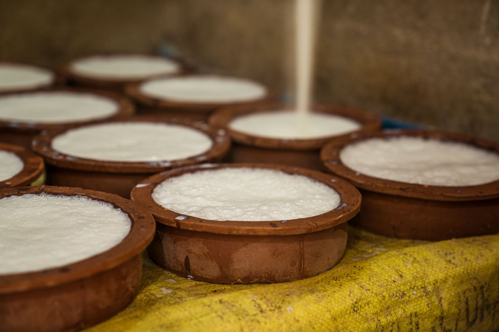 traditional curd makin saraii village yala sri lanka 4