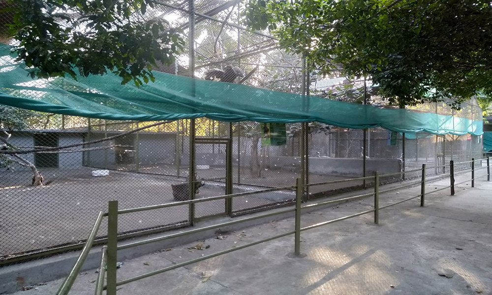 Sakkarbaug Zoo1