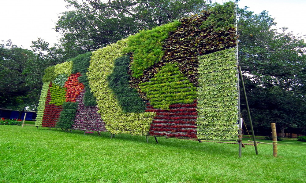 VERTICAL GARDEN