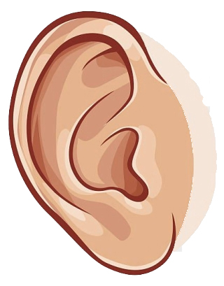 EAR 1