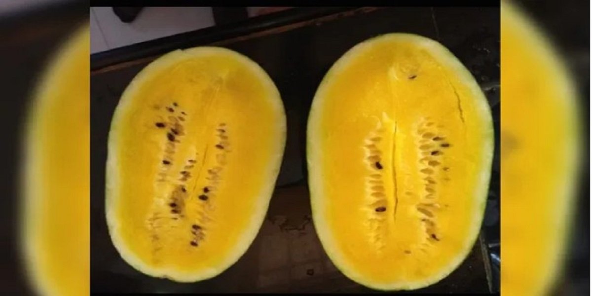 Yellow Watermelon