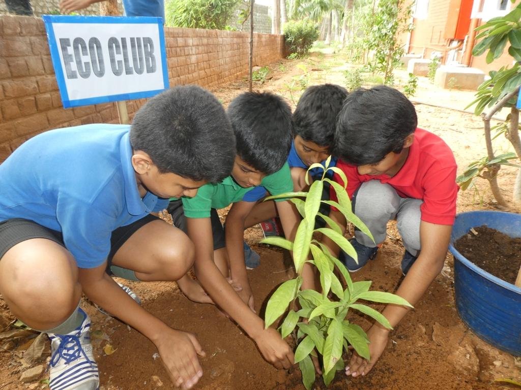 plantation drive an ECO Club activity 01 1024x768 1