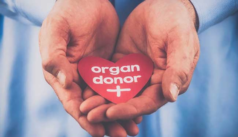 ORGAN DONOR