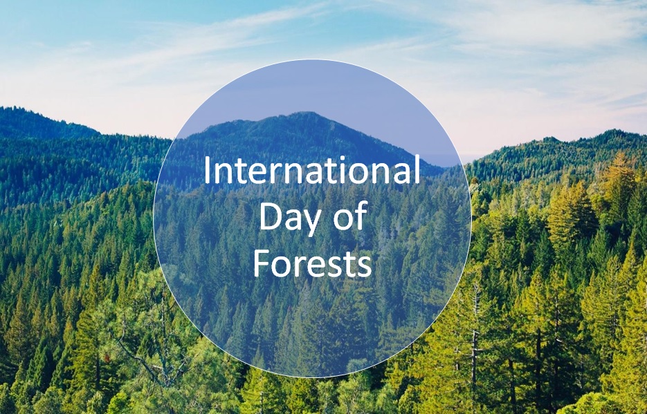 International Day of Forests