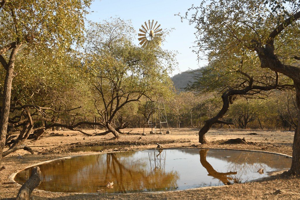 vanyprani pani forest 7