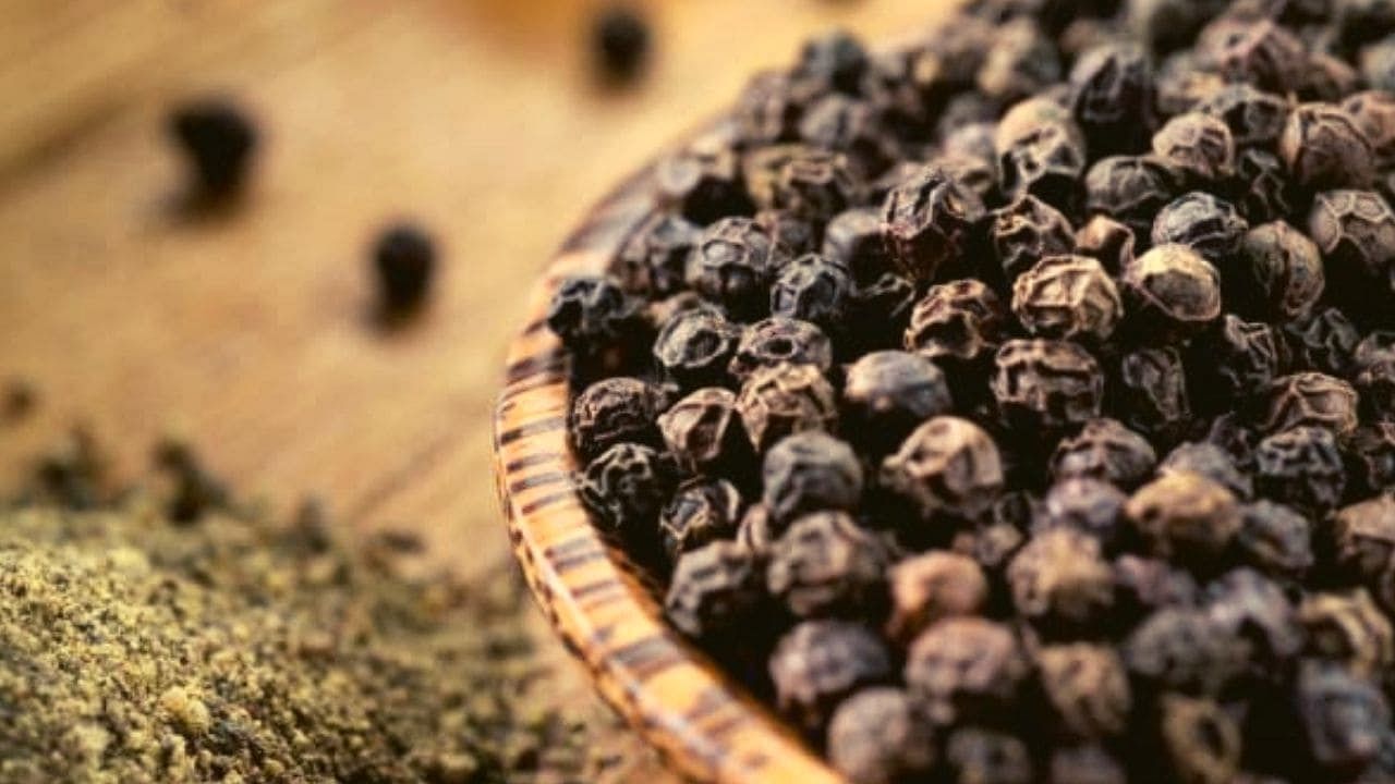 Cultivation of black pepper you can also do it easily