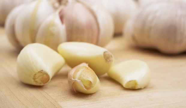 Garlic at good prices