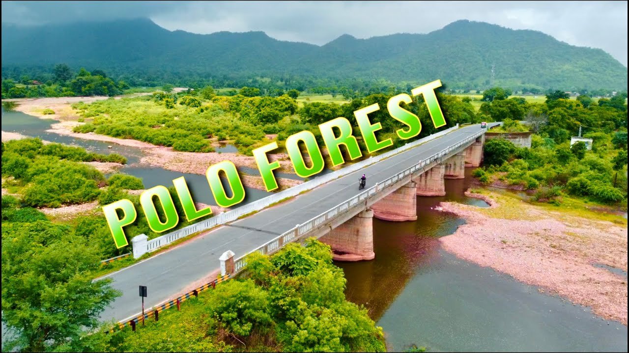 polo forest