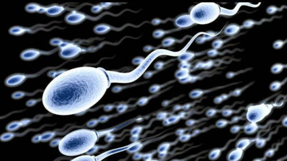 sperm 1588930787