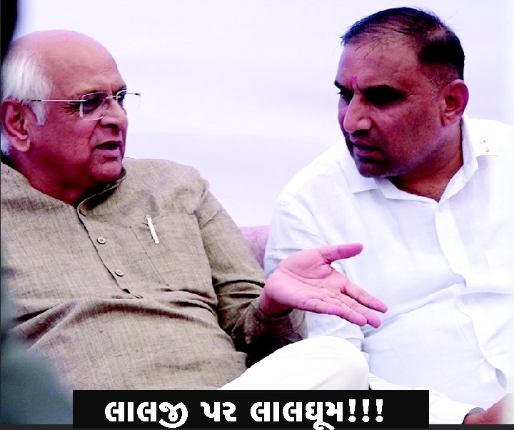 SPG Organized Patidar Snehmilan: CM Goes "Raw" Or Organizers Prove To Be "Navaniya"?