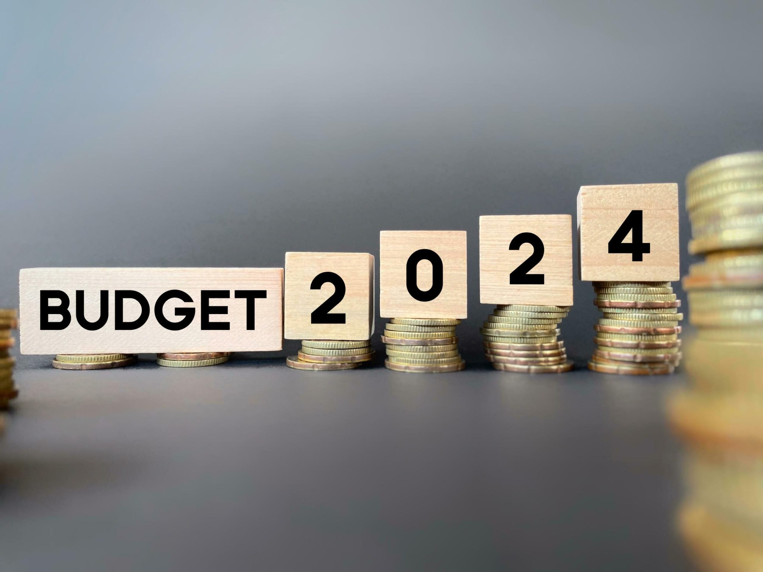 The main objective of the interim budget is to control the fiscal deficit