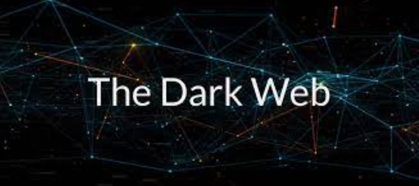 The dark web is a forest of crimes!