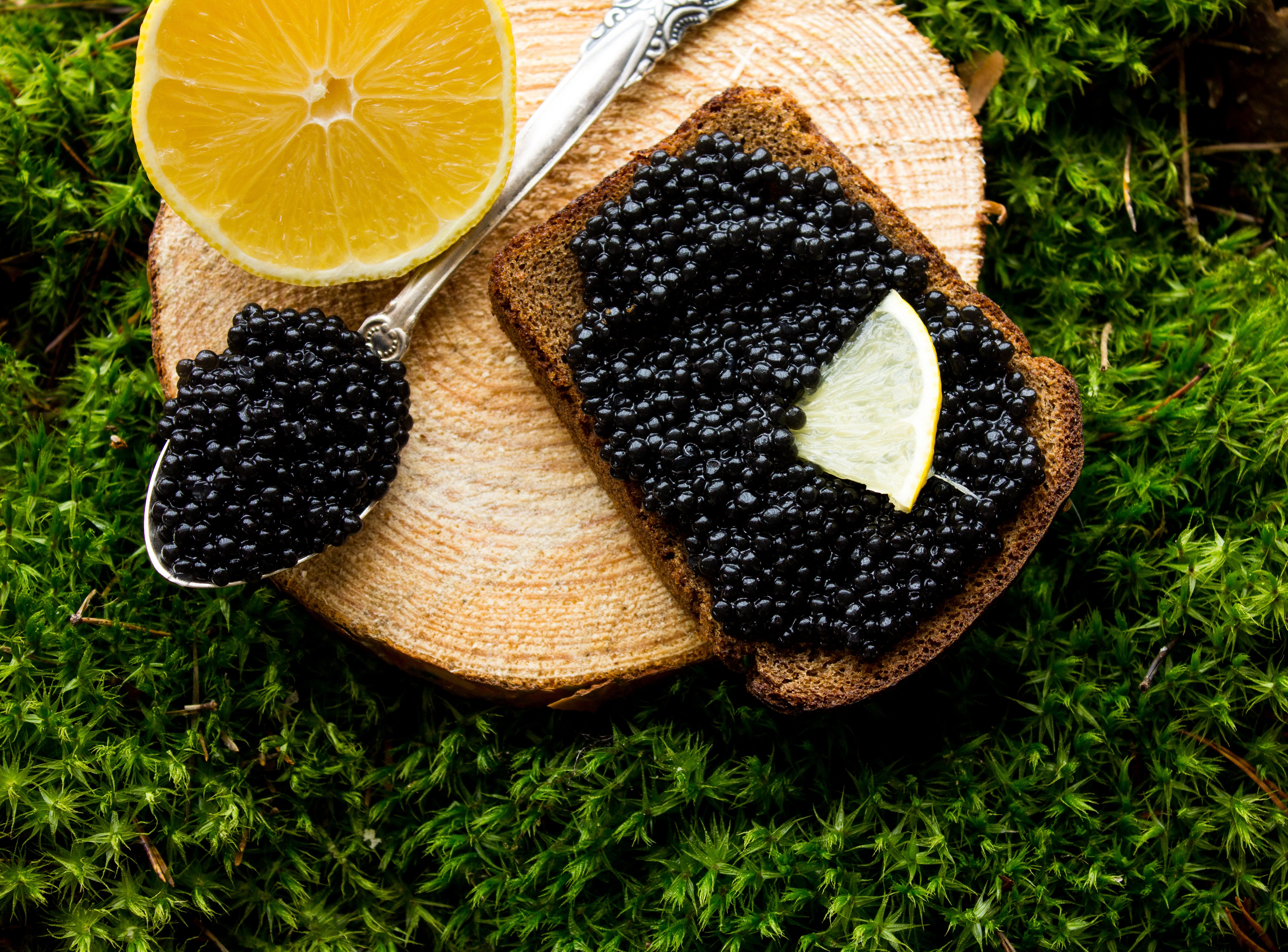 black caviar on bread with lemon close up over mos 2023 11 27 05 09 07 utc