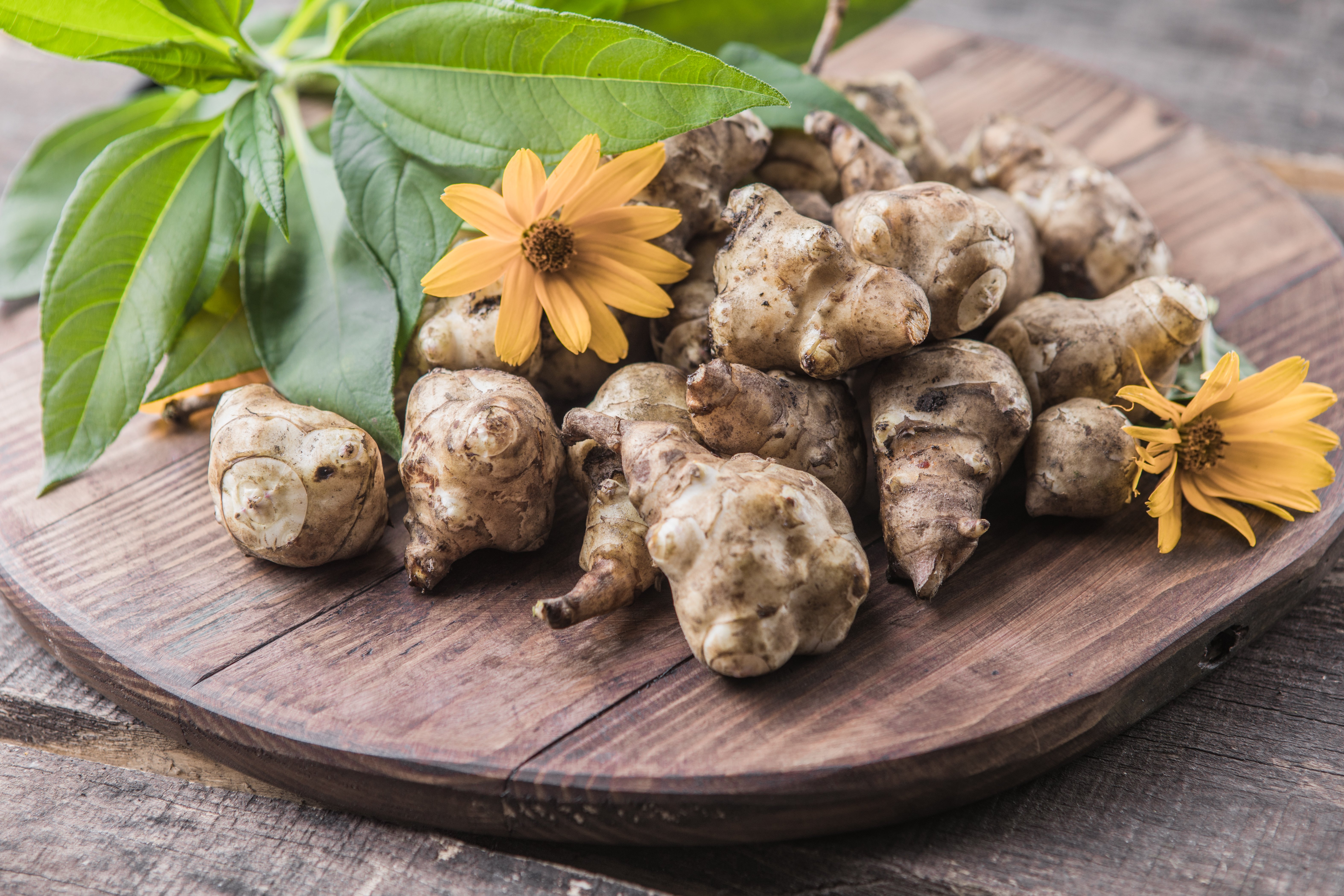 jerusalem artichoke tubers freshly harvested root 2023 11 27 05 29 09 utc