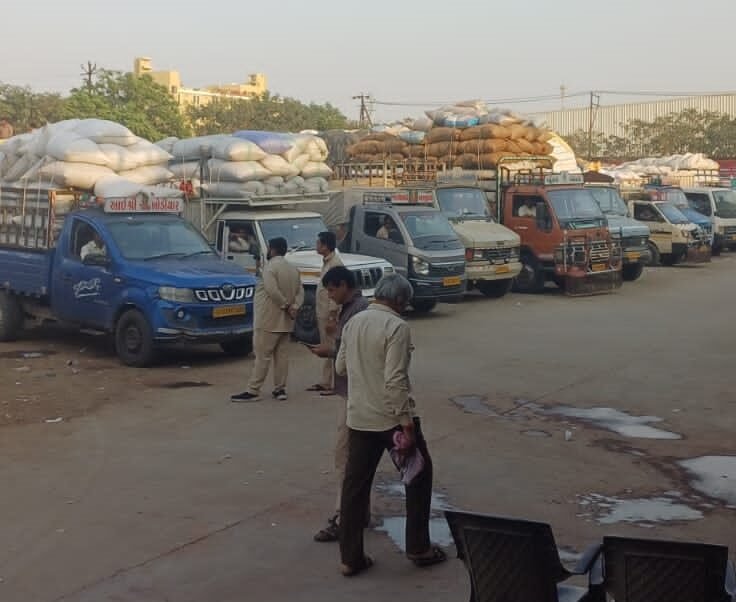 1.10 lakh maunds of wheat yield in Rajkot marketing yard