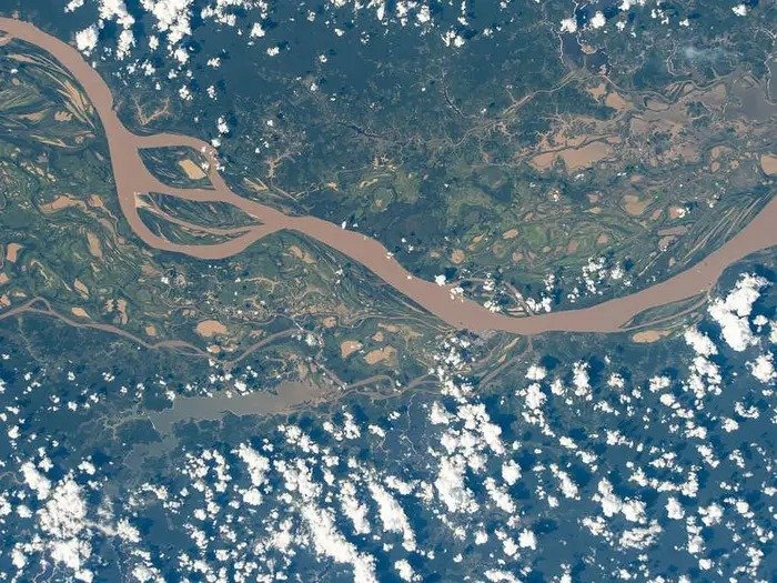 amazone river