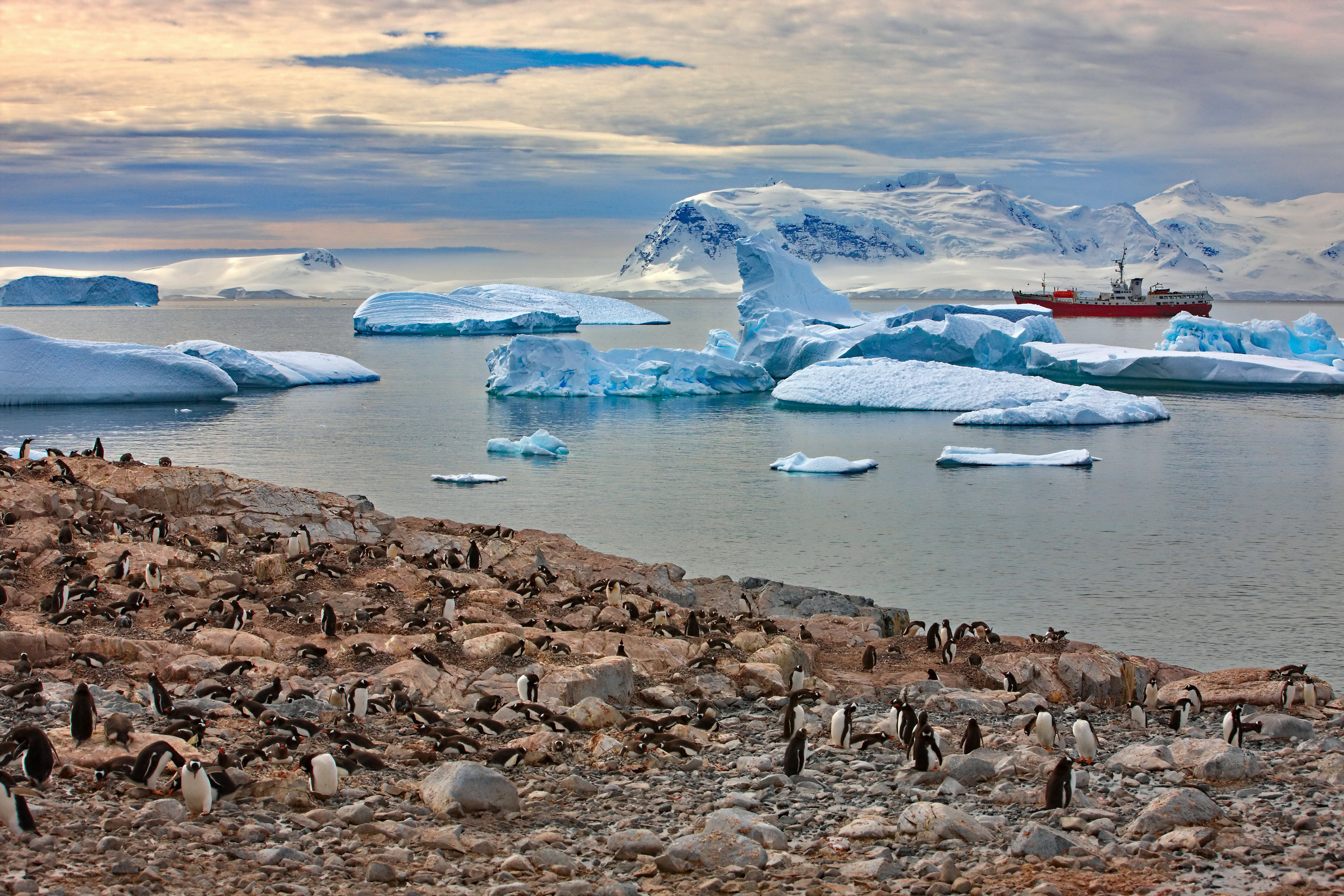 beautiful icy view in antarctica 2023 11 27 05 08 32 utc