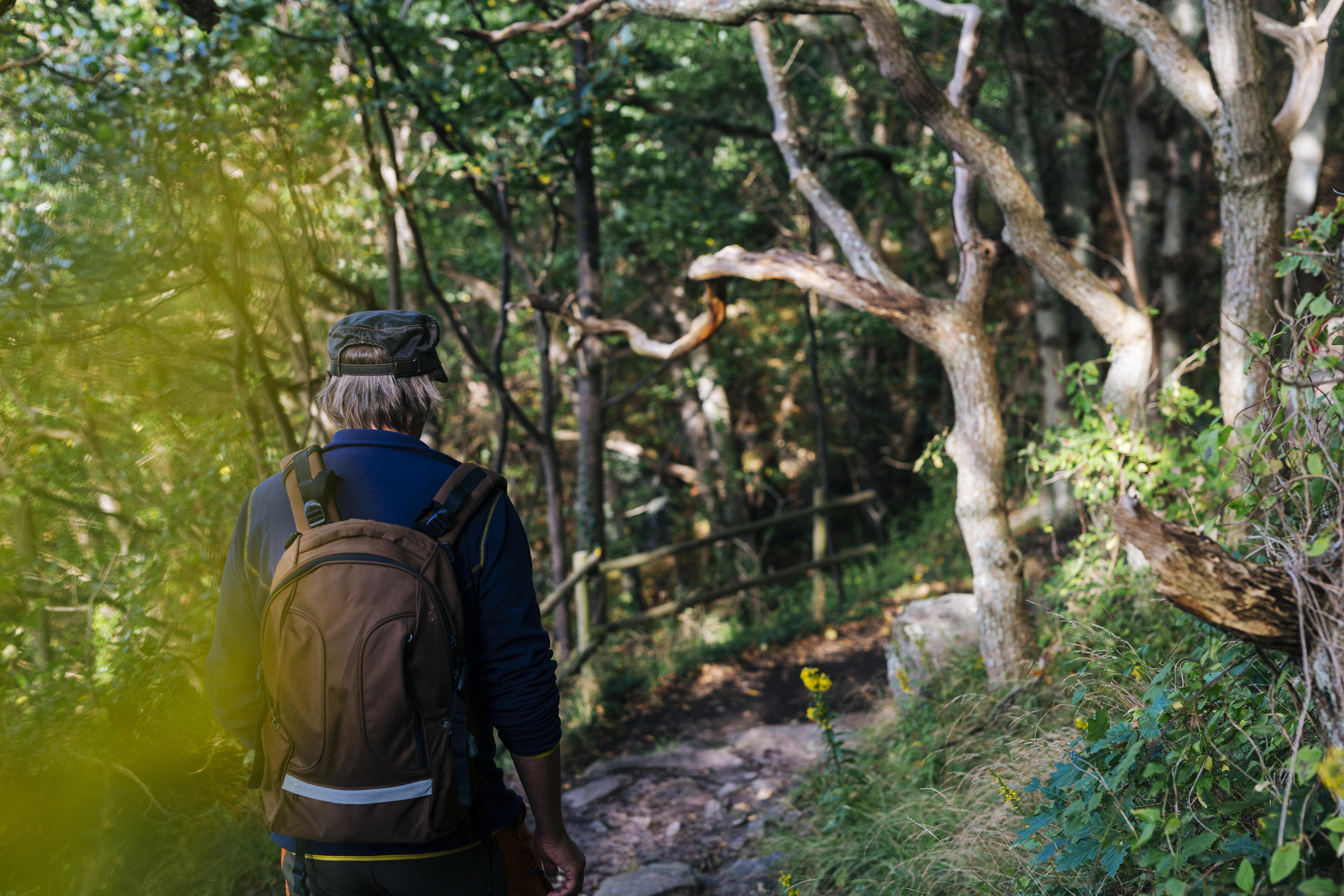 man hiking in forest 2023 11 27 05 10 49 utc