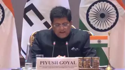 piyush goyel