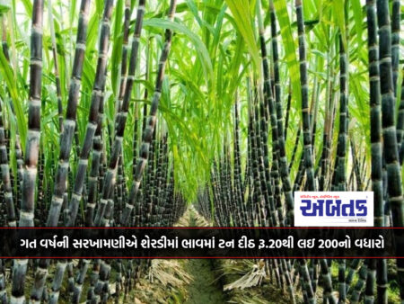 Sugarcane prices increased by Rs.20 to 200 per ton compared to last year