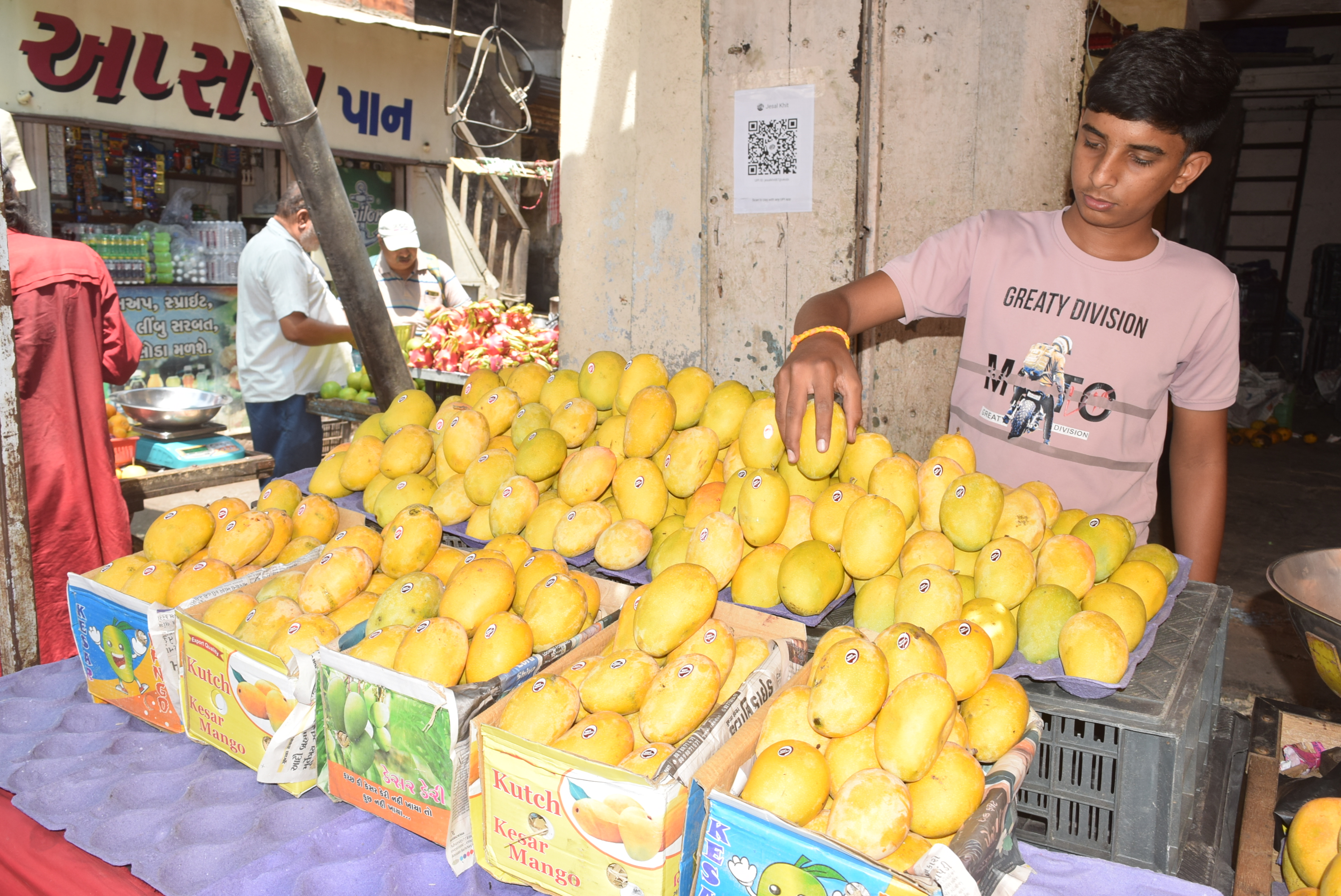 The royal arrival of the queen of fruits 'Mango' in the market