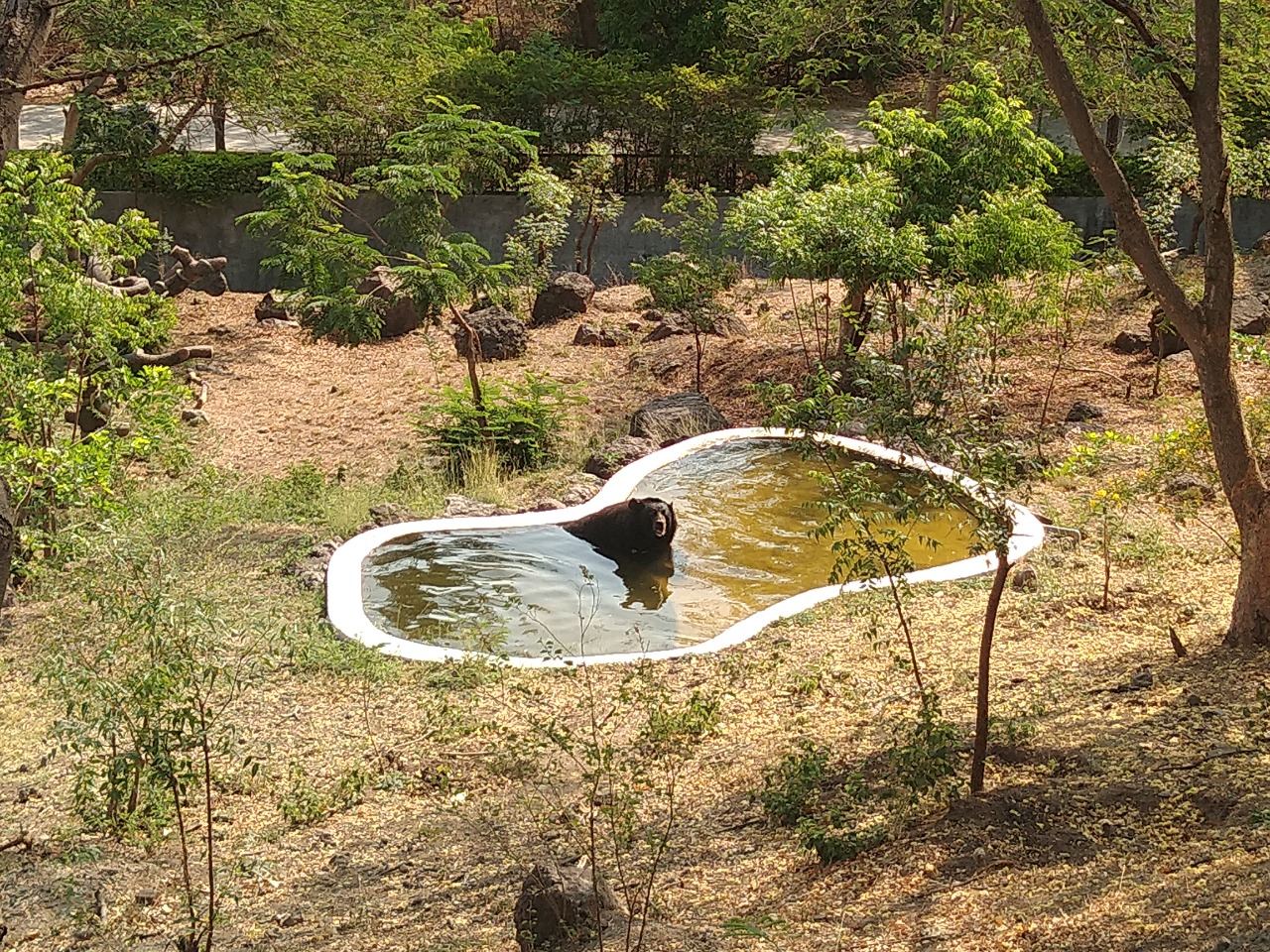 Extreme heat kills animals: Coolers, artificial fountains installed in Pradyuman Park Zoo