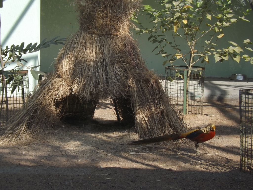 Extreme heat kills animals: Coolers, artificial fountains installed in Pradyuman Park Zoo