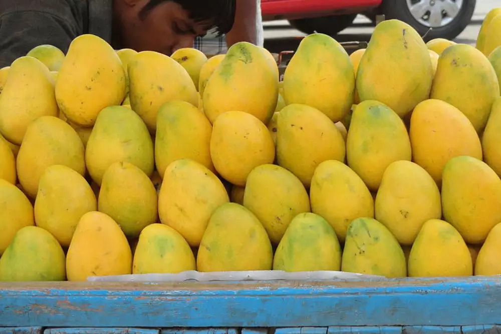 These 'new' mangoes have hit the market, priced at Rs 400 per kg