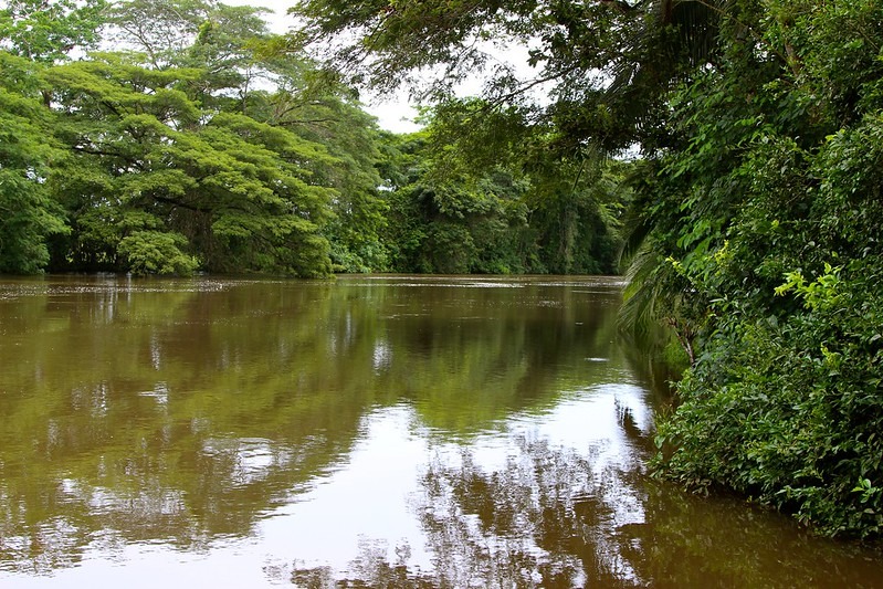 You may not believe it but it is true that human faces are hidden in this river