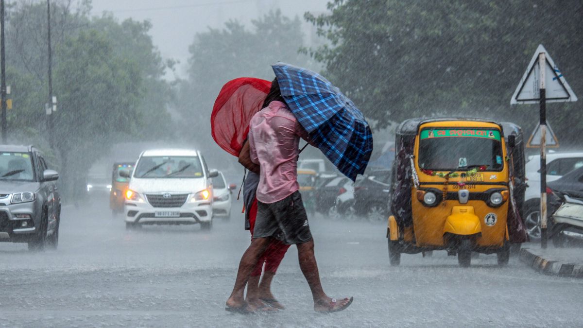 rain umbrella gujarat ani1688185705770